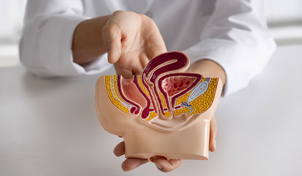 Men with Enlarged Prostate