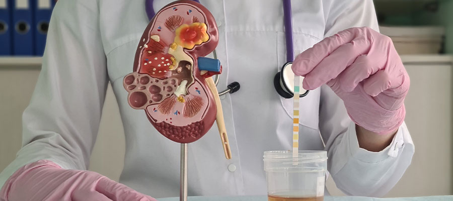 percutaneous-nephrolithotomy